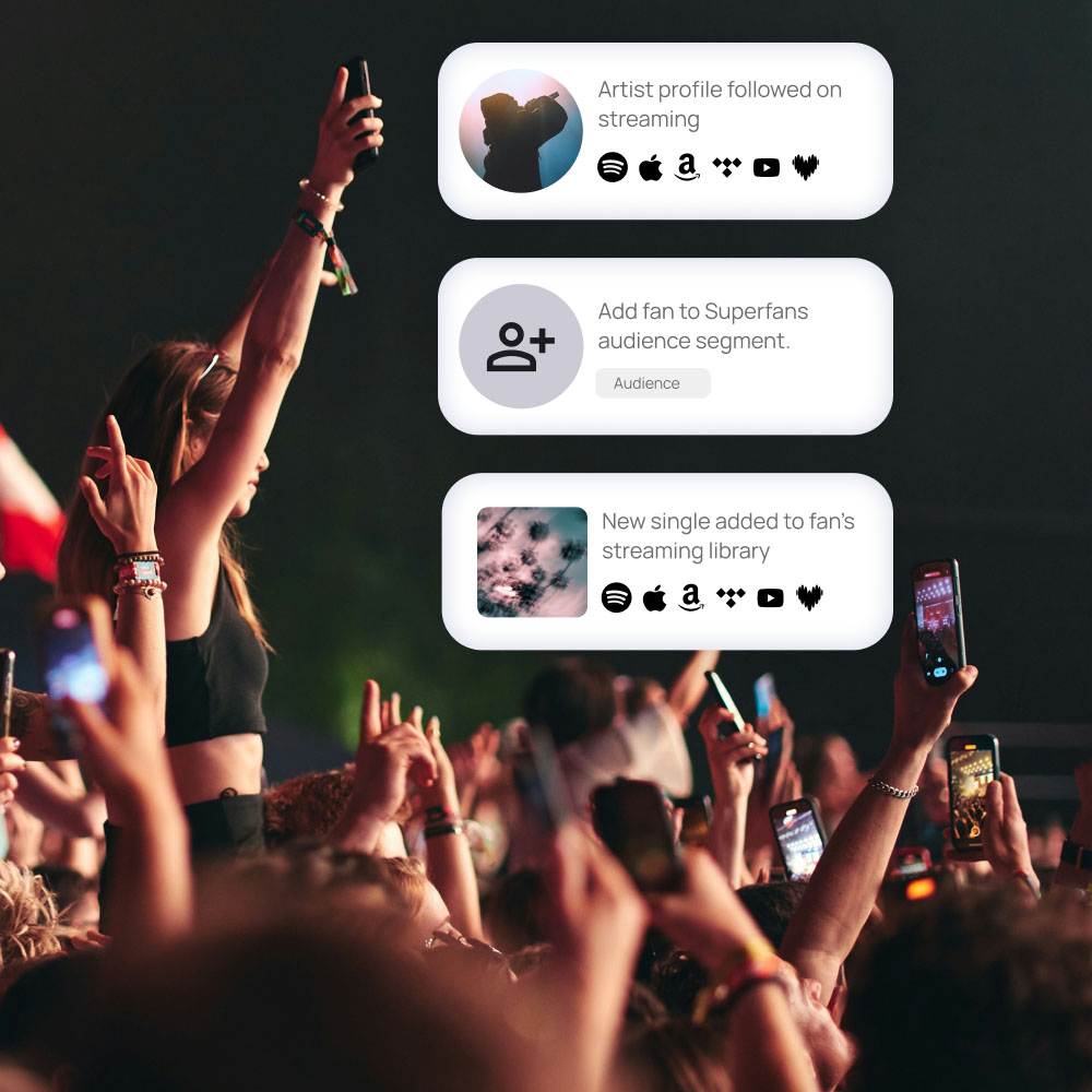 fans at a concert with marketing actions